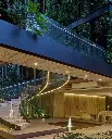 Escaleras.webp
