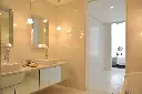TheLimited15.webp