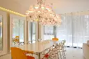 TheLimited16.webp
