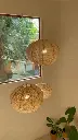 IMG-20250207-WA0035.webp