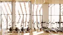 20230629_SPP_REN-1 (1) - copia.webp