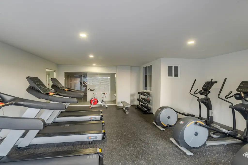 Gym2.webp