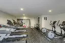 Gym2.webp