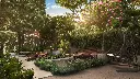 MoreEscandon_Safe Zone 03.webp