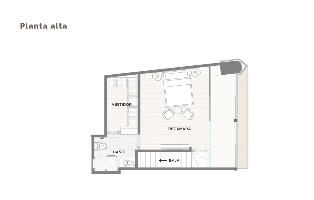 Captura de pantalla 2025-10-24 162308.webp