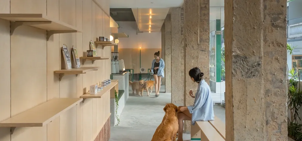 Captura de pantalla 2026-02-16 220229.webp