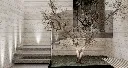 images (17).jfif