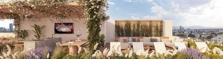 roof-garden (2).webp