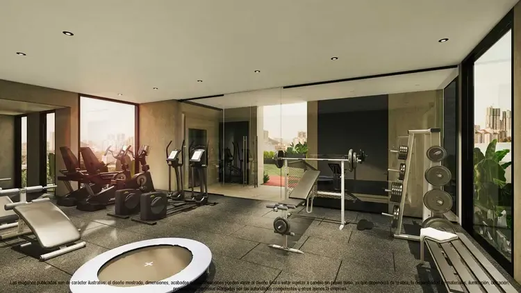 gimnasio (1).webp