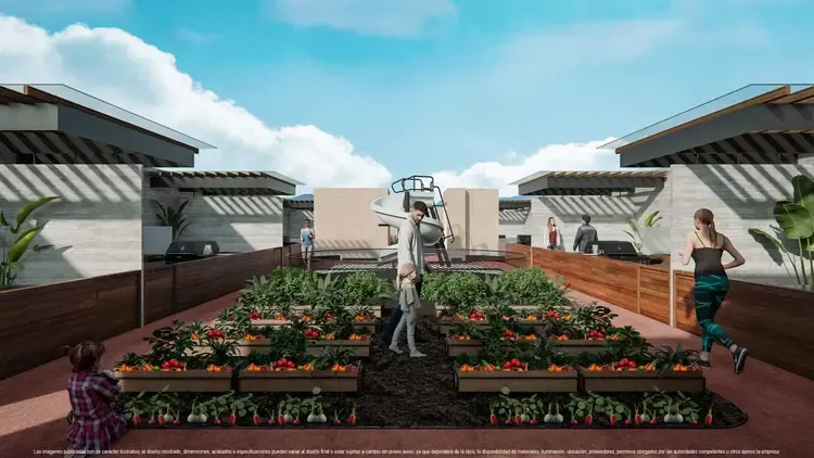 roof-garden (3).webp