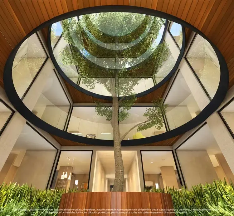 patio-central-1.webp