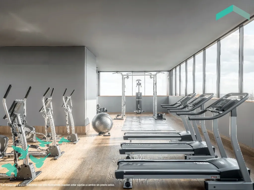 Renders-arrow_Chis13-Gym.webp