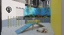 11Punto-Oriente-Pet-Zone.webp