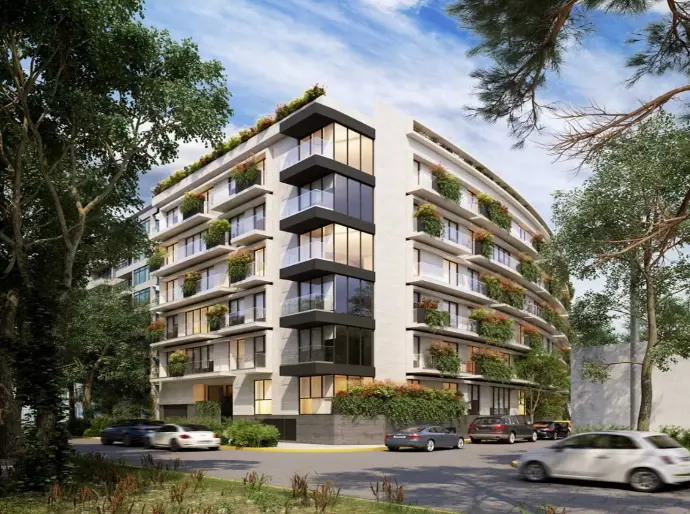 Area Vita Homes